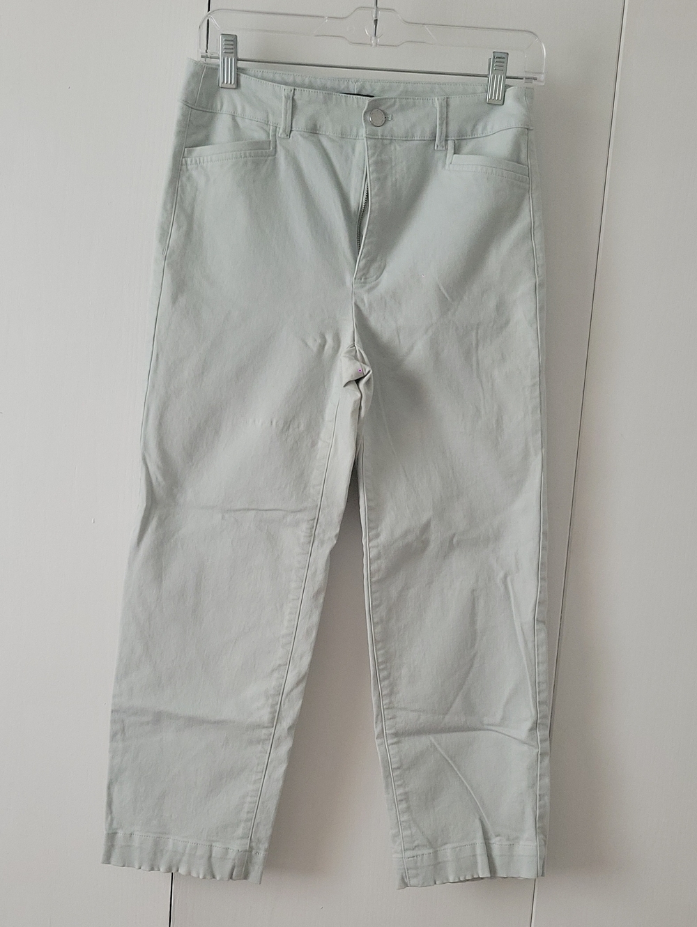 Women Ankle Light Mint Slim Fit Pants
